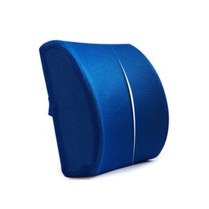 lumbar support pillow