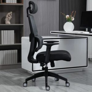 Mesh Ergonomic Office Chair