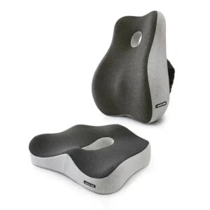 Lumbar & Coccyx Support